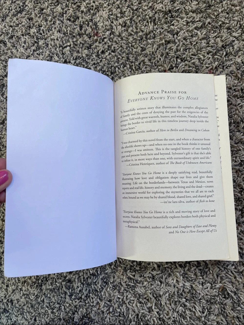 Paperback book: Everyone knows you go home by Natalie Sylvester